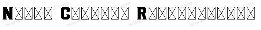 Noble Company Regula字体转换